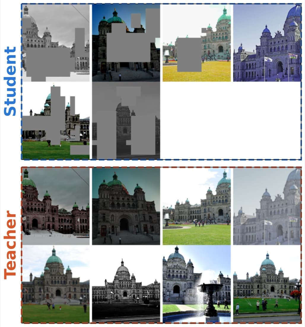 A training sequence as seen by the student and the teacher